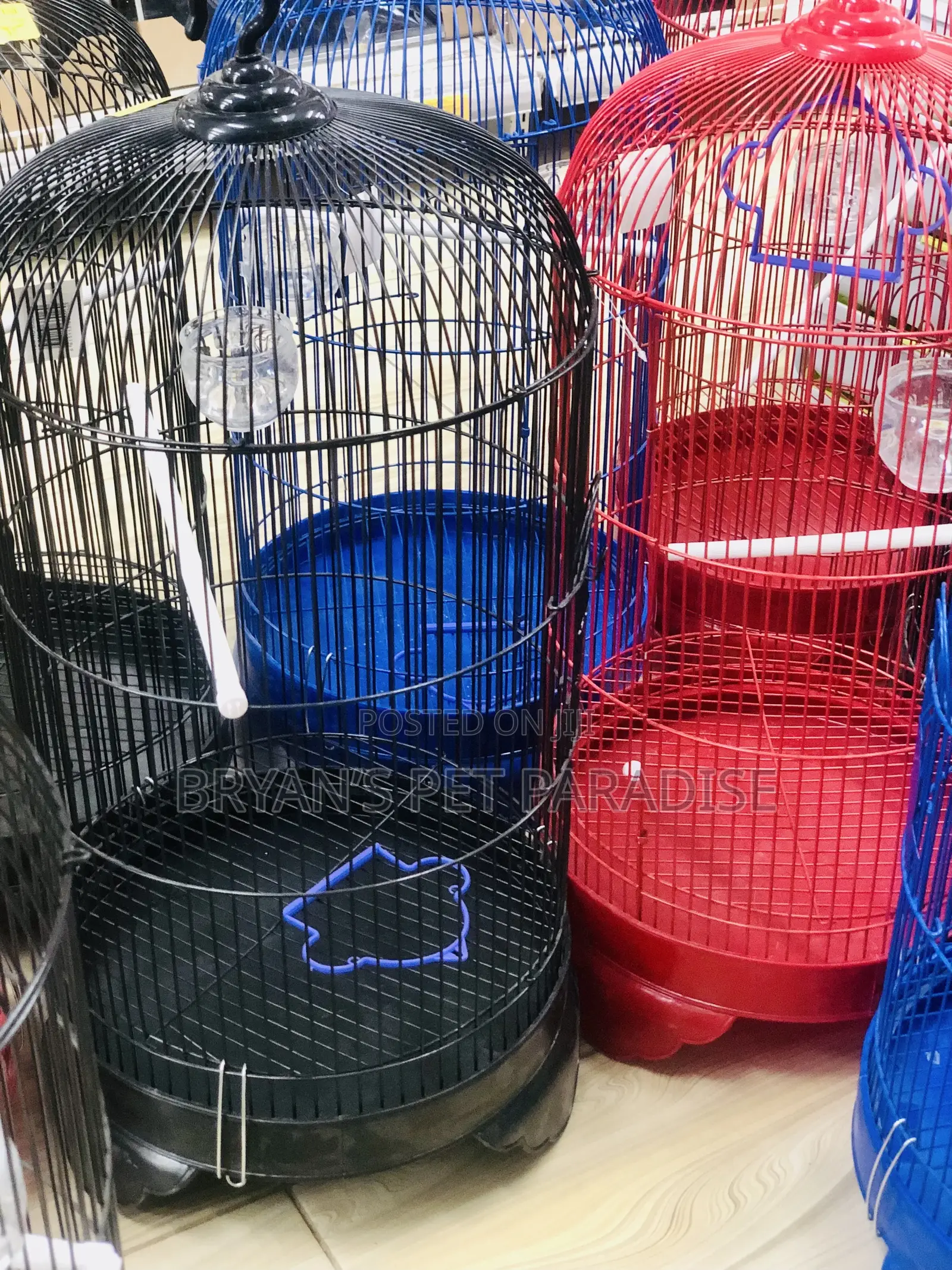 American Parrot Cages