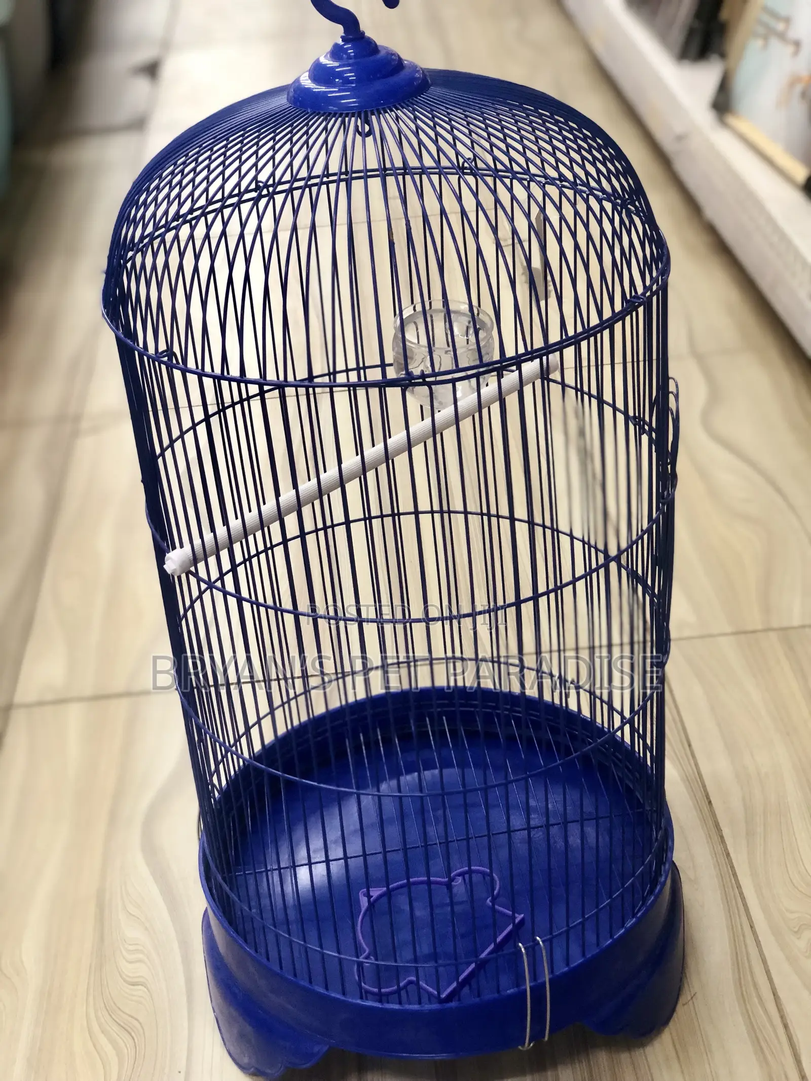 American Parrot Cages