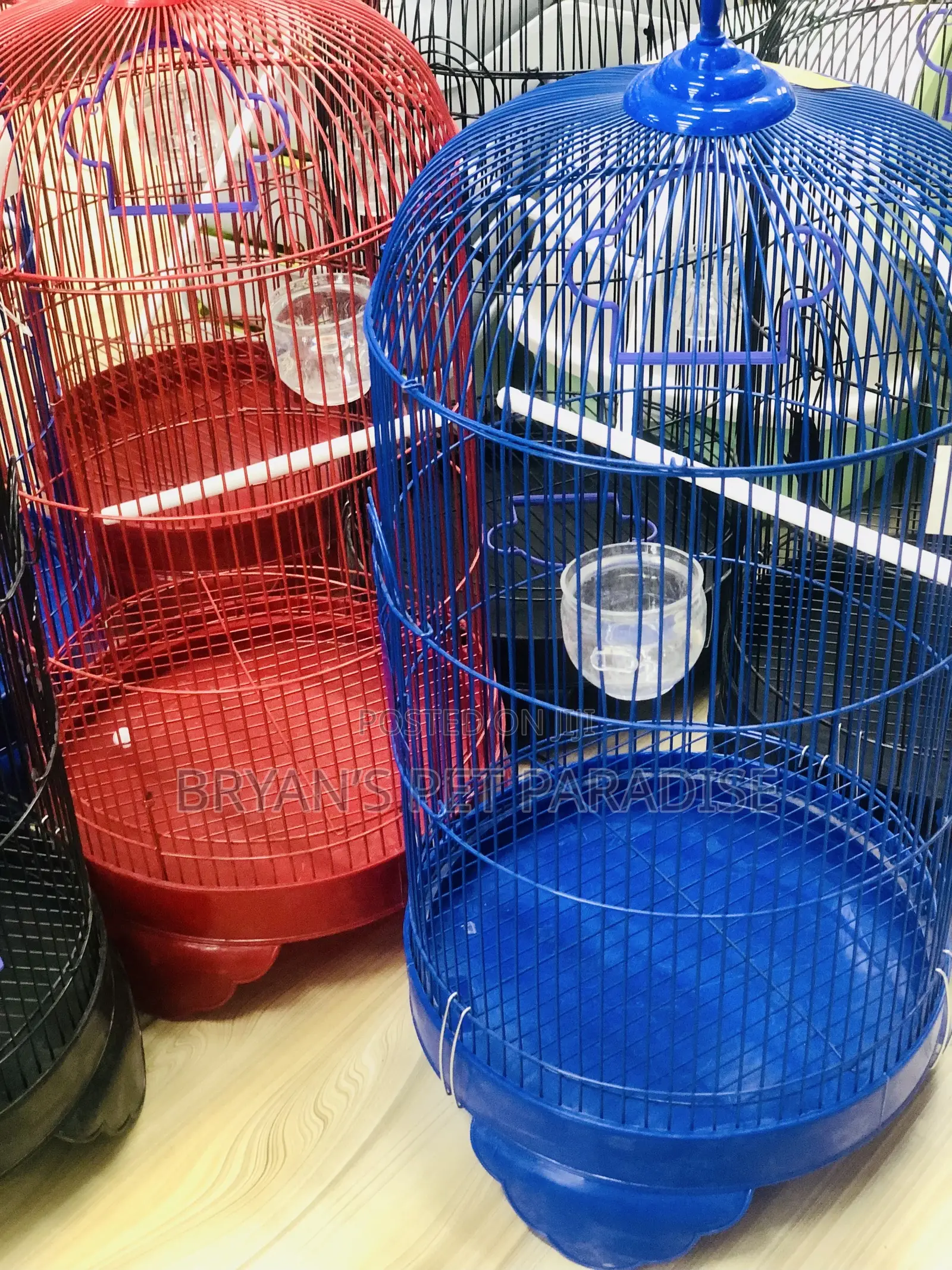 American Parrot Cages