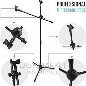 2 in 1 Mic Stand