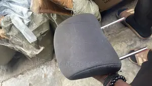 Head Rest or Seat Head