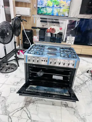 Cook in Style With Ferre Gas Electric Stove 4-2 Oven Grill