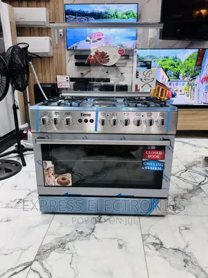 Stylish Ferre Freestanding Electric Gas Stove 4-2 Oven