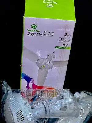Weiye 12v DC Ceiling Fan 28" (700 Mm)