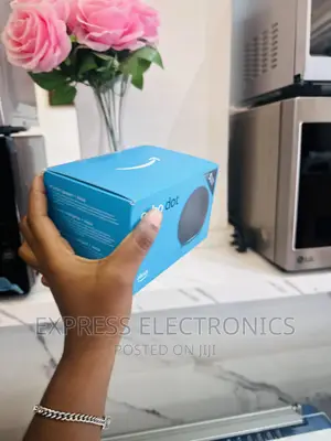 Best Buy for Less Echo Dot Gen 5