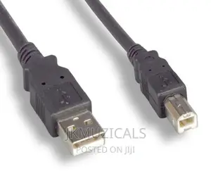 Audio Cables