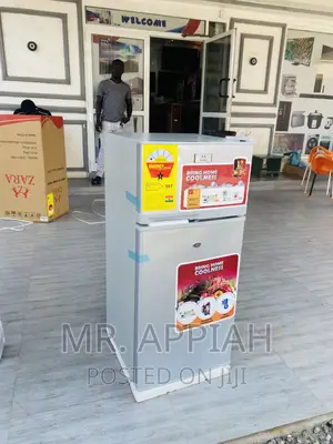 Manual Defrost Zara 12TM 2 Door Electric Fridge(Silver).