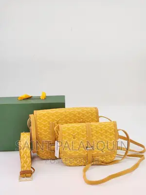 Goyard Side Bag With Belt