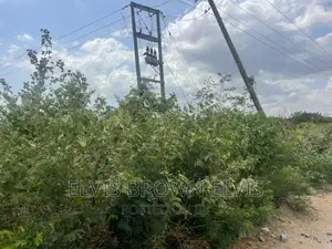 Xmas Promotion for Lands for Sale at West Trasacco