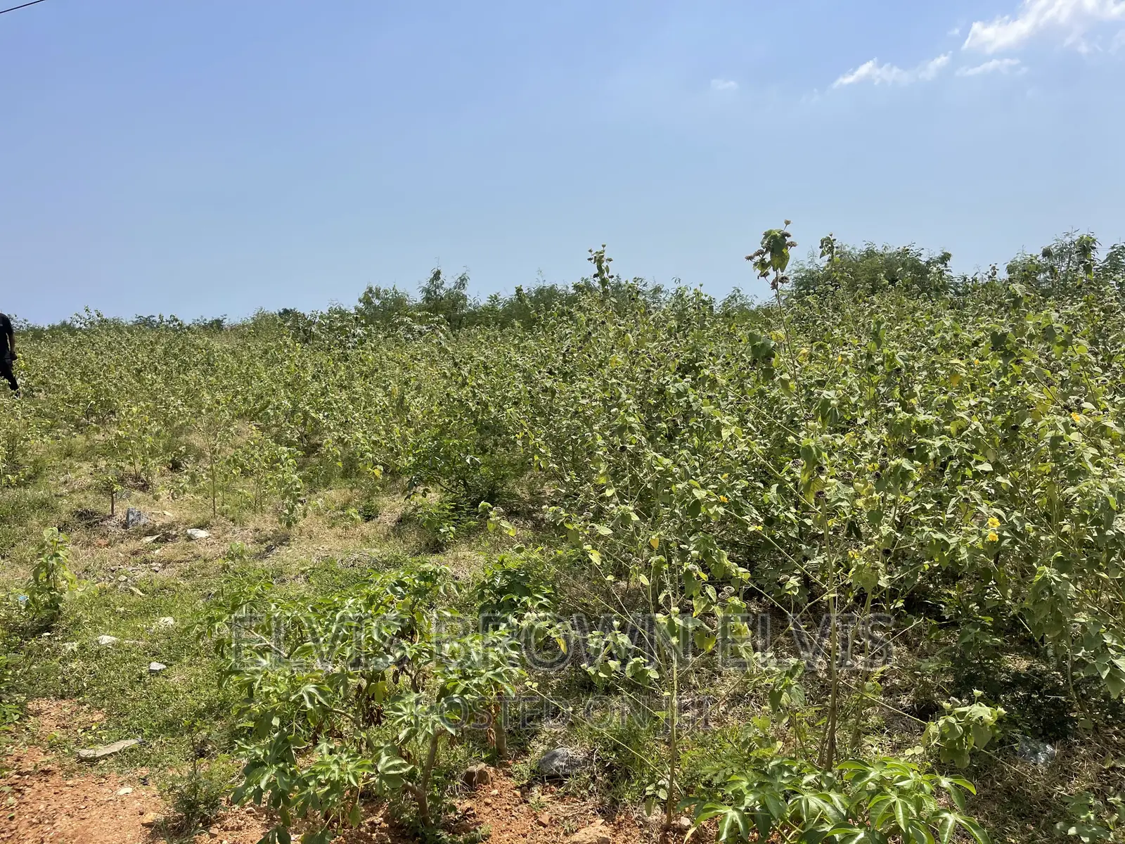 Xmas Promotion for Lands for Sale at West Trasacco