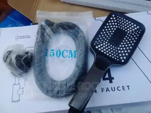 Hand Held Shower, Telephone Shower and Chain