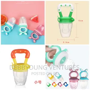 Baby Fruit Pacifier