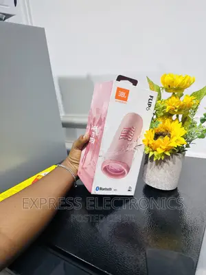 Dill Your Room Bluetooth Speaker JBL Flip 6