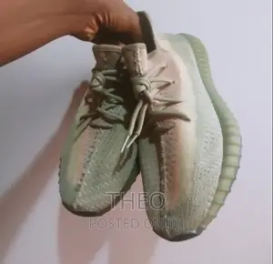 Adidas Yeezy 350