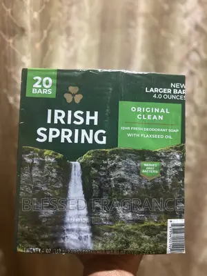 Irish Spring Soap Original From USA