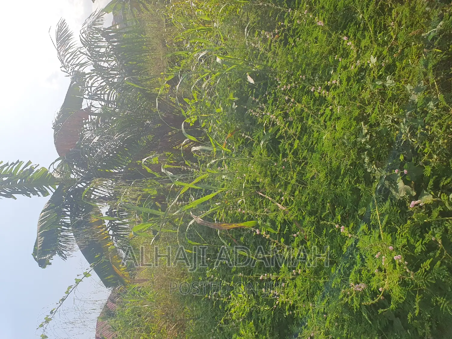 Land for Sale at Ahodwo Nhyiaeso