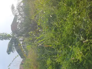 Land for Sale at Ahodwo Nhyiaeso