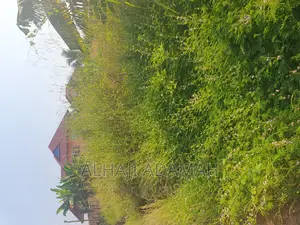 Land for Sale at Ahodwo Nhyiaeso