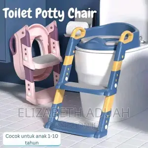 Toilet Potty Chair