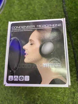 Studio Microphone AKG P220