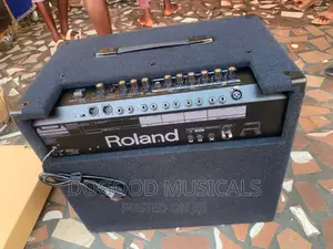 Roland Kc550 Keyboard Combo