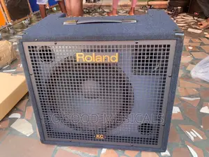 Roland Kc550 Keyboard Combo