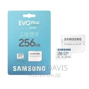 Original 256GB Samsung Evo Plus Memory Card