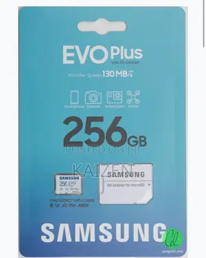 Samsung Evo+ Memory Card 256 GB