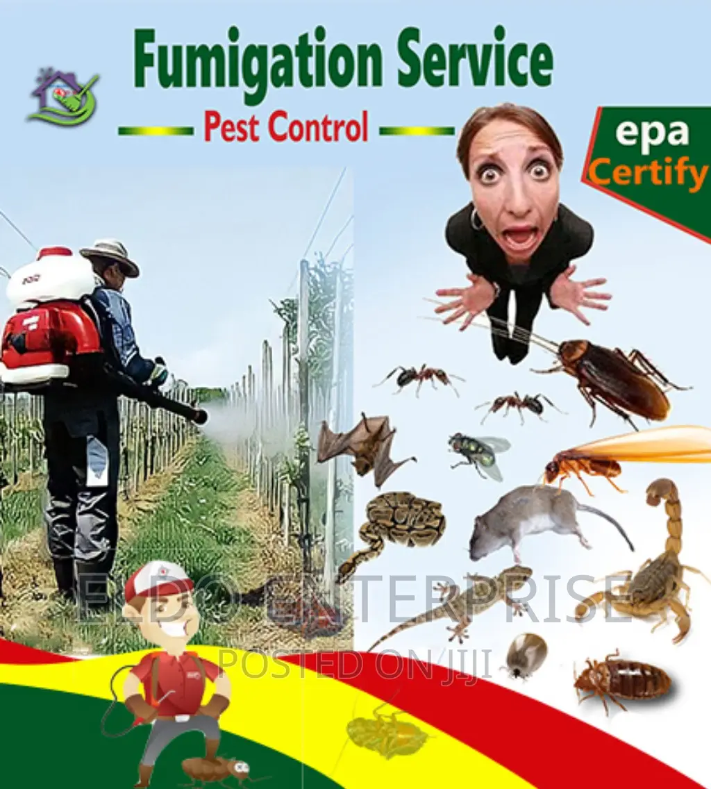 Pest Control Services