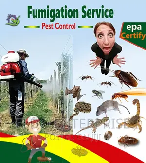 Pest Control Services