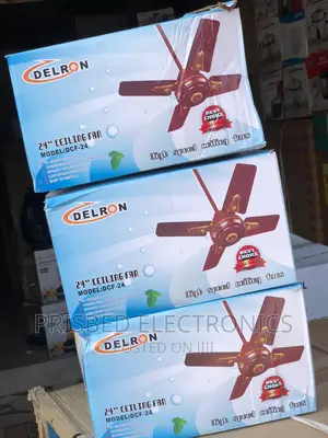 Delron 24" Ceiling Fan (Short Blade)