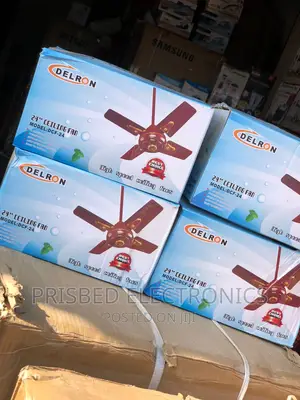 Delron 24" Ceiling Fan (Short Blade)