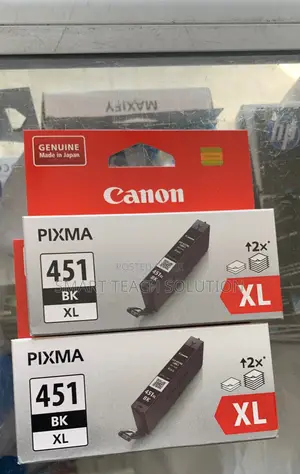 Canon 451 Ink