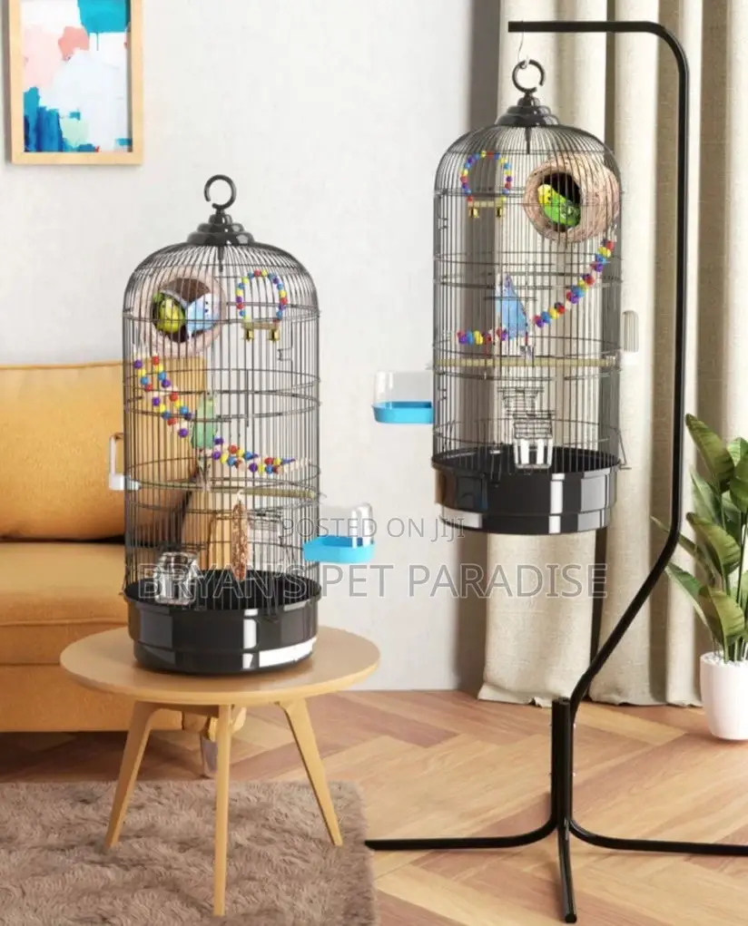 American Parrot Cages