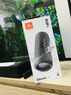 Gray Electric JBL Flip 6 Bluetooth Wireless Affordable