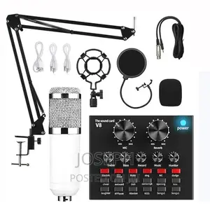 Professional Condenser Microphone