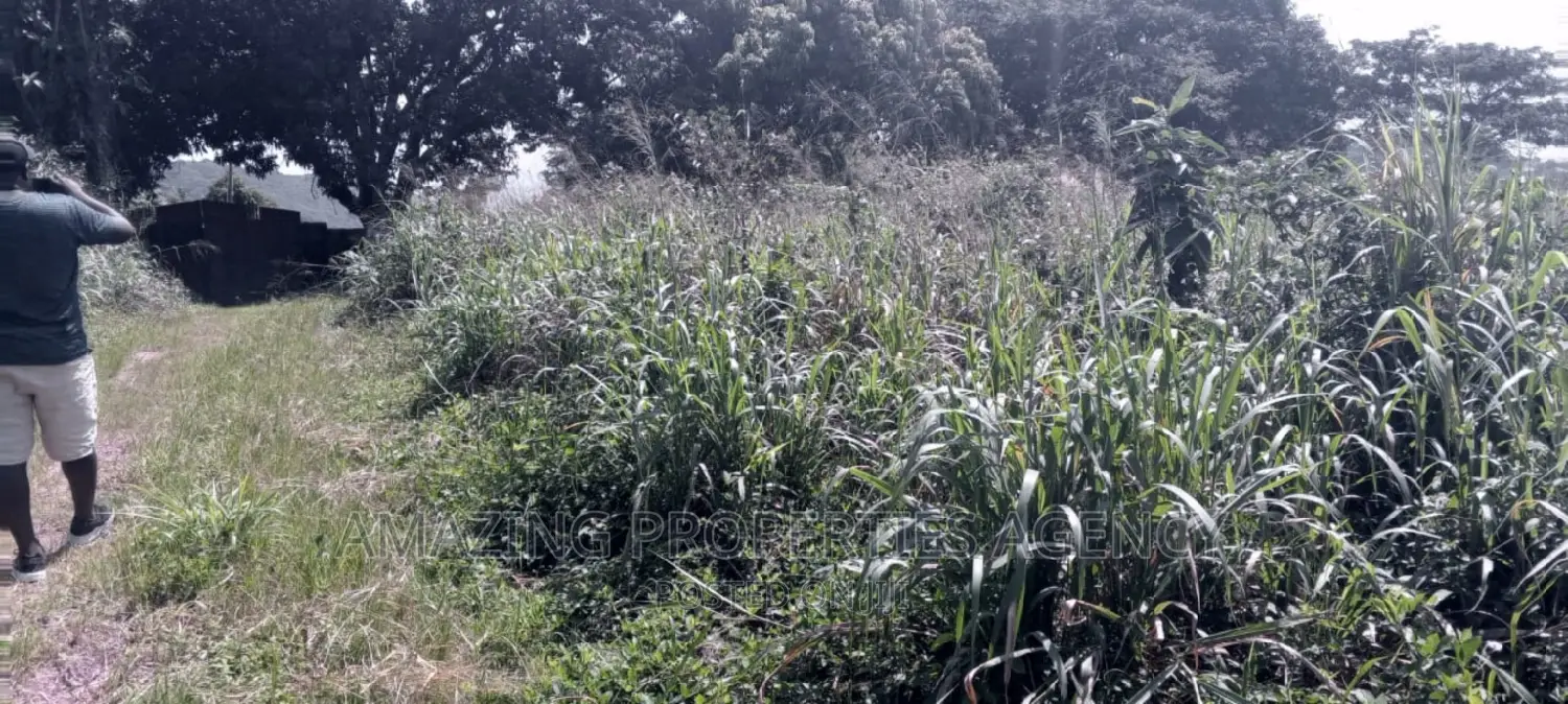 60 Acres of Land at Akorle