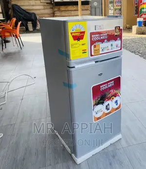 Highly Energy Saving Zara 12TM Double Door Electric Fridge