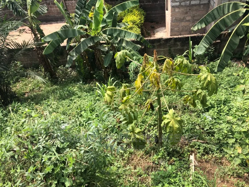 *Roadside Land Available for Sale Ridge* 1.34 Acre