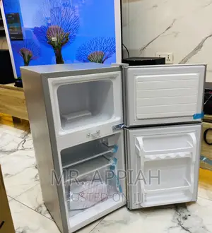Energy Sufficient Nasco Nasf2-120 Electric Fridge(Gray).