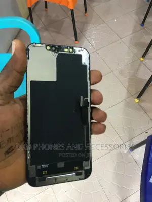 iPhone 12 Promax Amoled Screen