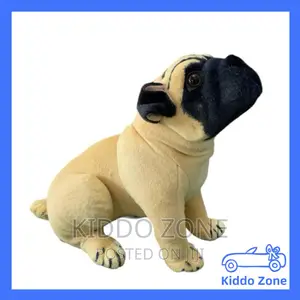 Lovely Pet Teddy Bear