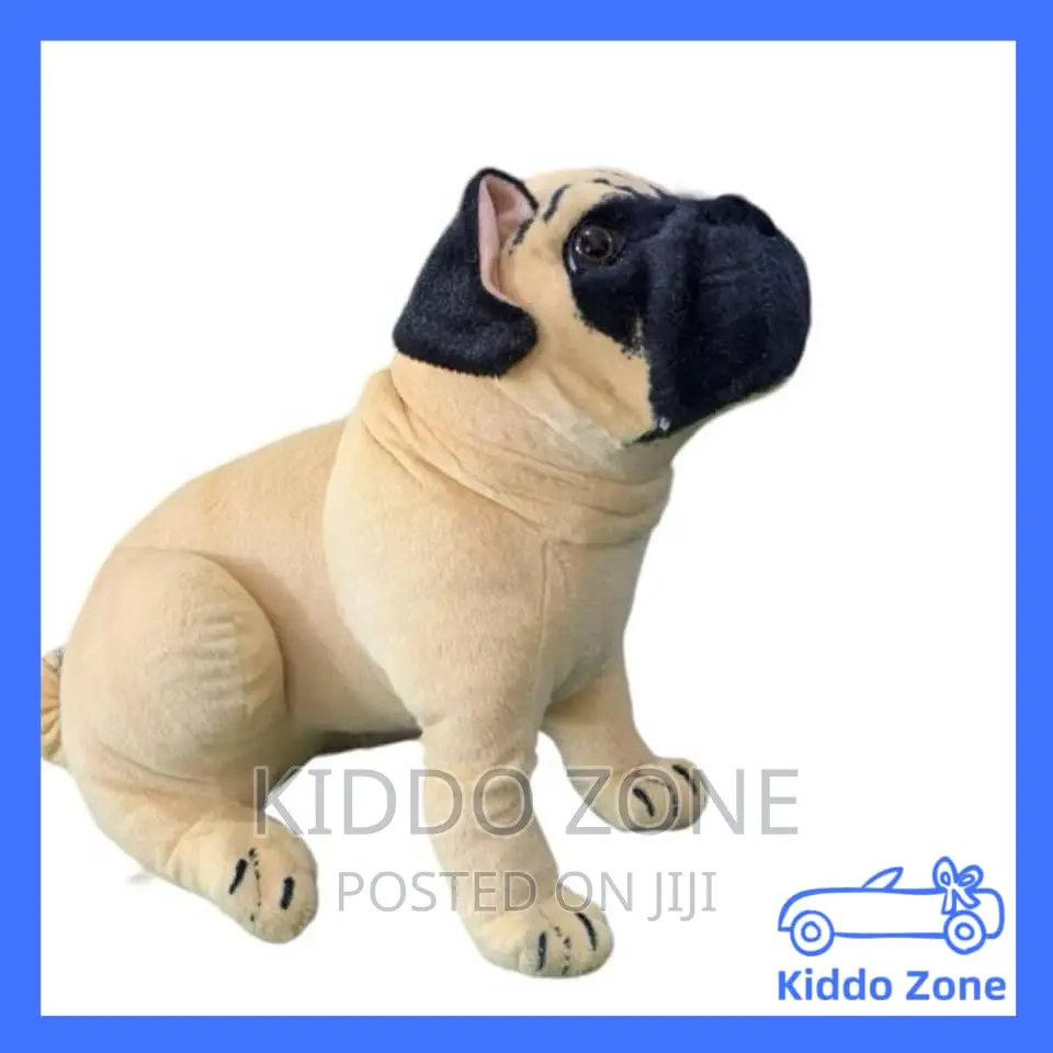 Lovely Pet Teddy Bear