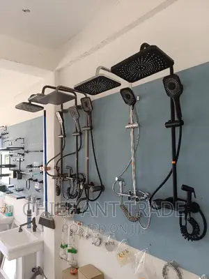 Temperature Reading Shower 8021h