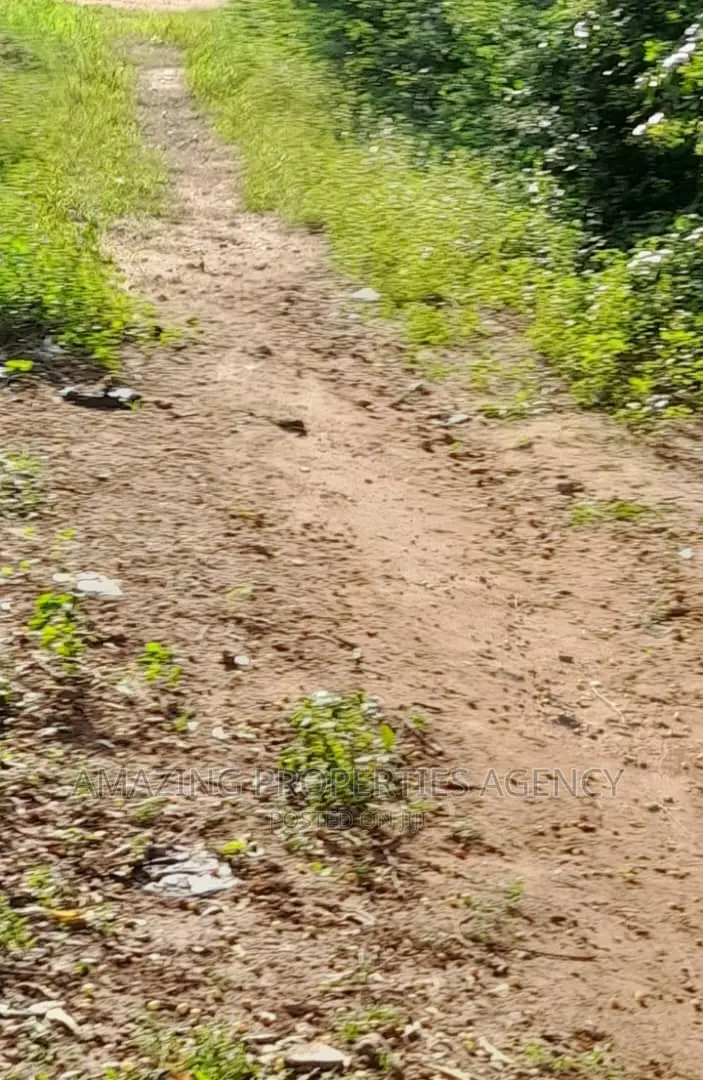 4 Plots of Land for Sale at Prampram