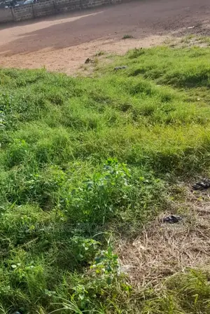 4 Plots of Land for Sale at Prampram