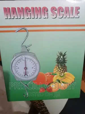 Mechanical Hanging Weighing Scale