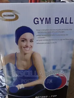 Portable Gym Balls