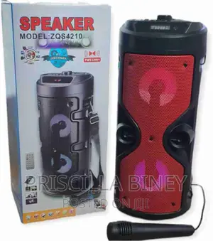 Speaker (Bluetooth)With Microphone