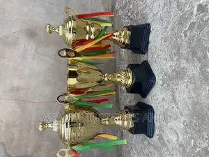 Trophy Available for Compitition at Cool Price